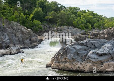 Ian Brown se pose en paddle surfe surfe en exigeant de l'eau vive sous les Great Falls de la rivière Potomac, frontière du Maryland et de la Virginie, États-Unis, Amérique du Nord Banque D'Images