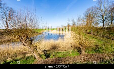 Paysages autour de fort Everdingen aux pays-Bas Banque D'Images