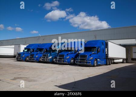 Blue transport Trucks alignés dans le Yard d'un Entrepôt Banque D'Images