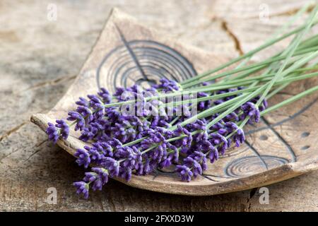 Bouquet de fleurs de lavande sur une assiette en argile Banque D'Images