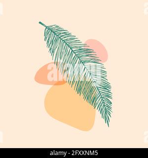 Abstrait Vector Botanical Background Decorative Layout. Feuille de palmier tirée à la main avec formes géométriques Illustration du feuillage minimal. Art contemporain Illustration de Vecteur