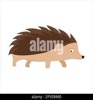 Adorable hedgehog pickly animal dessin animé personnage vecteur Illustration sur un arrière-plan blanc Illustration de Vecteur