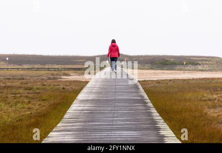 Femme solitaire marchant sur une passerelle en bois à travers le marais côtier lors d'une journée d'automne brumeuse. Concept de solitude. Banque D'Images