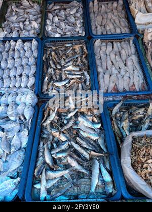 Poissons séchés, variétés de poissons séchés sur le marché disposés en paniers, foyer sélectif. Banque D'Images