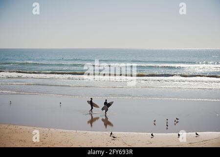 Dakhla, MAROC - 18 JANVIER 2020 : surfeurs professionnels transportant leurs planches de surf en allant à la mer Banque D'Images