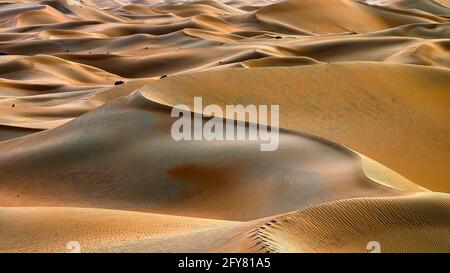 Magnifique paysage de dunes de sable en Arabie Saoudite. Banque D'Images