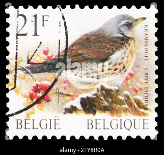 MOSCOU, RUSSIE - 23 SEPTEMBRE 2019 : timbre-poste imprimé en Belgique montre le tarif de champ (Turdus pilaris), série oiseaux de Buzin, vers 1998 Banque D'Images