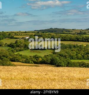 Une vue sur les terres agricoles près de Findon Village jusqu'à la colline de l'âge de fer fort de Cissbury Ring dans le parc national de South Downs, West Sussex, Angleterre, Royaume-Uni. Banque D'Images