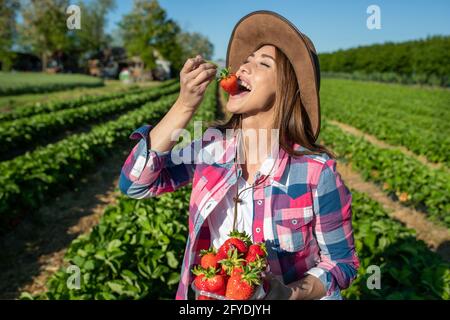 Jolie jeune femme paysanne avec chapeau tenant un bol plein de fruits et manger des fraises mûres dans le champ après la récolte Banque D'Images