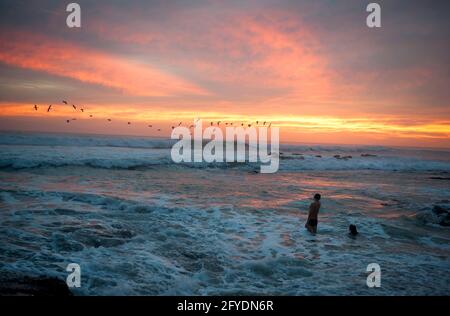 Les gens regardent des pélicans en vol au-dessus de l'océan au coucher du soleil à Tamarindo, Costa Rica. Banque D'Images