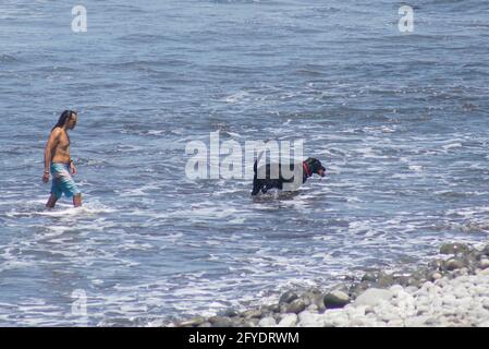 Tamanique, Salvador. 27 mai 2021. Un homme et son chien marchent dans l'océan.El Salvador se prépare à accueillir les Jeux de surf ISA World qui serviront de dernier tour de qualificatifs olympiques pour le surf. Crédit: Camilo Freedman/ZUMA Wire/Alay Live News Banque D'Images