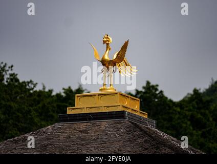 Détail du phoenix doré sur le Kinkakuji (Pavillon d'or) Kyoto, Japon Banque D'Images