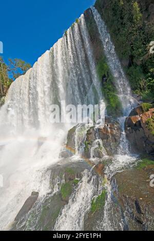 Chutes spectaculaires au départ du ciel des chutes de Bosetti Parc national des chutes d'Iguazu au Brésil Banque D'Images