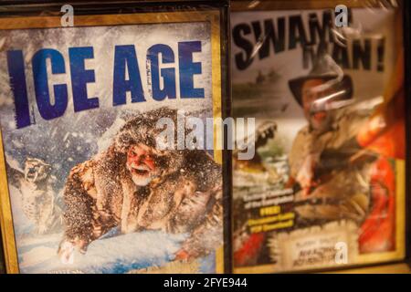 Williamstown, États-Unis. 26 mai 2021. DVD en vente à la boutique de cadeaux de Kenneth Ham's Ark Encounter. La rencontre avec l'arche de Kenneth Ham est un parc à thème avec une grande arche imitant celle décrite dans l'histoire biblique de Noé. Les personnes visitant le parc à thème peuvent participer à un certain nombre d'activités différentes, de la marche à travers les nombreuses expositions informatives de l'arche, une promenade à travers le zoo et différentes manèges. Crédit : SOPA Images Limited/Alamy Live News Banque D'Images
