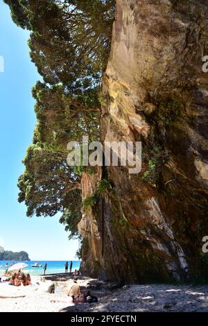 Grande falaise rocheuse avec petite chute d'eau et couverture de l'arbre de pohutukawa sur la plage de sable fournissant l'ombre pour les baigneurs de soleil. Banque D'Images