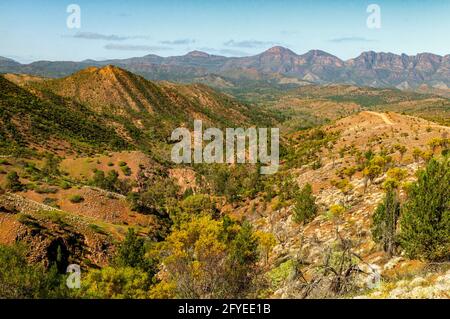 Heysen vont de Bunyeroo Lookout, Flinders Range National Park, Australie du Sud, Australie Banque D'Images