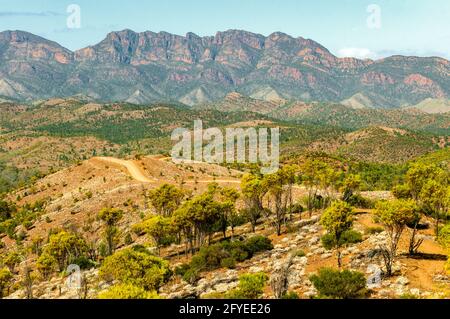 Heysen vont de Bunyeroo Lookout, Flinders Range National Park, Australie du Sud, Australie Banque D'Images