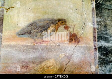 Fresque représentant un péchage d'oiseau à quelques cerises - Maison du Grand Portail (Casa del Gran Portale) - ruines d'Herculanum, Italie Banque D'Images
