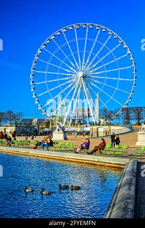 FRANCE. PARIS (75) PLACE DE LA PLACE DE LA CONCORDE. CANARDS DANS LE BASSIN OCTOGONAL LES JARDINS DES TUILERIES, LA GRANDE ROUE ET EN ARRIÈRE-PLAN, L'OBÉLISQUE Banque D'Images