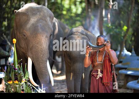 Un mahout d'éléphant et un éléphant marchant dans la brume dans la jungle. Style de vie du village des éléphants de surin. Banque D'Images