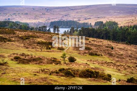 Vue sur Venford Reservoir (1907) depuis Bench Tor, parc national de Dartmoor, Devon, Angleterre, Royaume-Uni. Banque D'Images