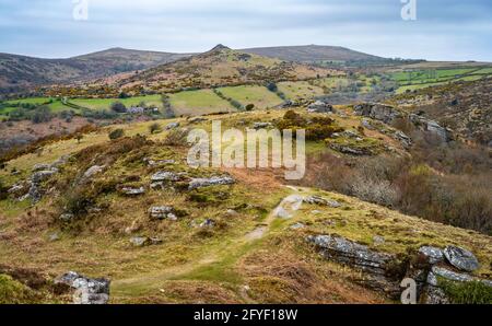 Vue vers le nord le long de Bench Tor, avec Sharp Tor de l'autre côté de la gorge de Dart, parc national de Dartmoor, Devon, Angleterre, Royaume-Uni. Banque D'Images