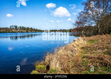 Parc national de Dartmoor, Devon, Angleterre, Royaume-Uni. Banque D'Images