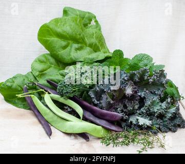 légumes verts fraîchement récoltés aux haricots verts colorés et au brocoli Banque D'Images