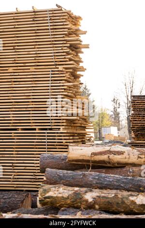 Stockage de piles de bois sur la scierie. Les planches sont empilées dans une boutique de menuiserie. Sciage séchage et commercialisation du bois. Bois de pin pour Banque D'Images