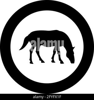 Steed Horse Equestrian Equine Stallion pur-sang Mustang silhouette en cercle rond noir couleur vecteur illustration style Uni contour simple Illustration de Vecteur