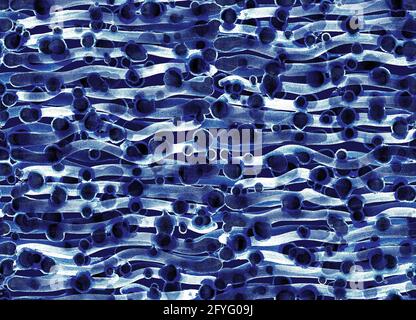 Motif abstrait sans couture avec vagues dans des tons bleus Banque D'Images