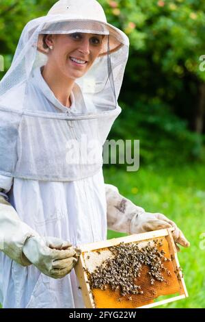 Contrôle de l'apiculteur et les abeilles beeyard Banque D'Images