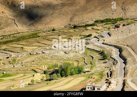 Route sinueuse de Leh avec vue sur la terre verte depuis le sommet, Ladakh, Jammu et Cachemire, Inde Banque D'Images