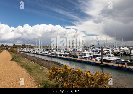 Promenade touristique populaire à côté de la marina de Lymington Harbour, Lymington, Hampshire, Angleterre, Royaume-Uni Banque D'Images