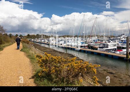 Promenade touristique populaire à côté de la marina de Lymington Harbour, Lymington, Hampshire, Angleterre, Royaume-Uni Banque D'Images
