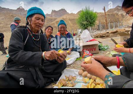 Mulbekh, Ladakh, Inde - 2 septembre 2014 : femmes tribales Ladakhi dans des robes traditionnelles coupant des légumes pour préparer la nourriture pour le festival religieux Banque D'Images