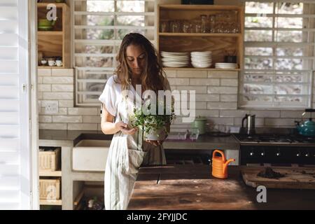 Femme caucasienne tendant à la plante en pot debout dans le cottage ensoleillé cuisine Banque D'Images