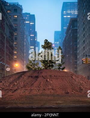 Arbre poussant dans un tas de terre au milieu de la route, Manhattan, New Yworks, États-Unis Banque D'Images