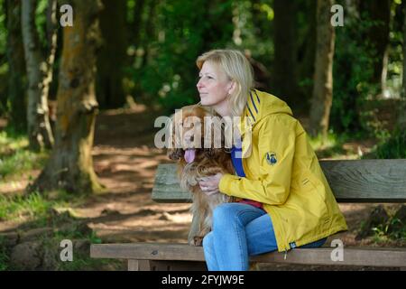 Femme en train de se détendre, assise sur un banc dans une forêt avec son chien d'épagneul cocker Banque D'Images