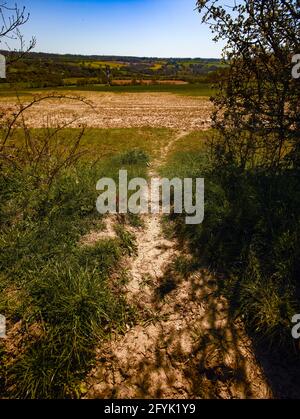 Chemin aride à travers le large paysage agricole du Kent, sud de l'Angleterre, Royaume-Uni, Europe Banque D'Images