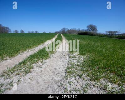 Chemin aride à travers le large paysage agricole du Kent, sud de l'Angleterre, Royaume-Uni, Europe Banque D'Images