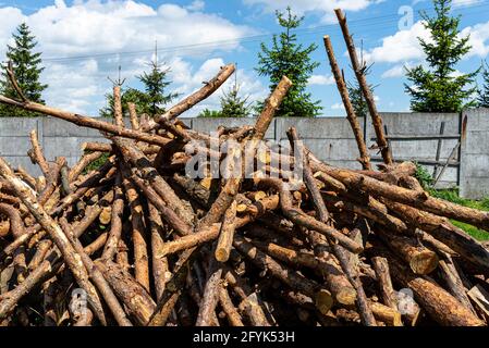 Bûches non coupées pelées, couchées sur une pile sur le sol dans la cour arrière. Banque D'Images