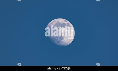 Gros plan sur la lune gibeuse à la cire pendant la journée contre un ciel bleu clair - Stuttgart, Allemagne le 23 mai 2021 Banque D'Images