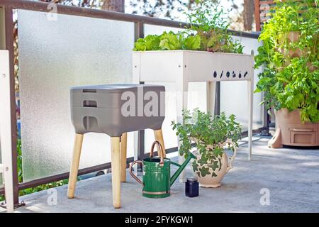 Un système de vermicomposter (worm composter) est installé sur un balcon d'appartement avec d'autres jardinières. Les vers mangent des restes de nourriture et produisent des moulages de vers et Banque D'Images