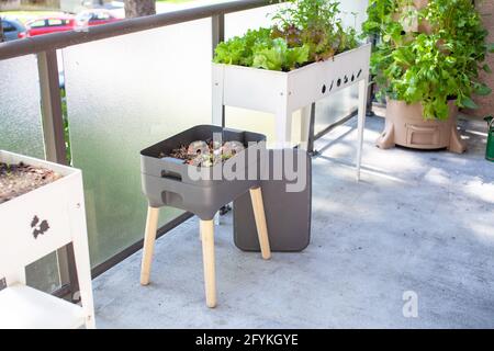 Un système de vermicomposter (worm composter) est installé sur un balcon d'appartement avec d'autres jardinières. Les vers mangent des restes de nourriture et produisent des moulages de vers et Banque D'Images