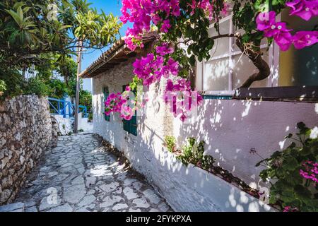 Fiskardo, Kefalonia, Grèce. Vue sur la rue grecque typique avec pierre blanche, fleurs roses feuillage vert un jour ensoleillé, concept Voyage Banque D'Images