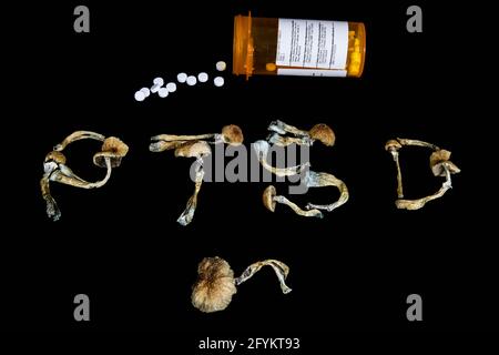 Psychédélique Psilocybin Magic champignons orthographe PTSD Banque D'Images