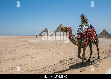 LE CAIRE, EGYPTE - 14 mai 2021: Attractions de l'Egypte. Nomad à dos de chameau près des pyramides dans le désert égyptien Banque D'Images