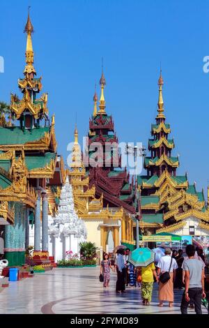 Temples du complexe de la Pagode Shwedagon, officiellement appelé Shwedagon Zedi Daw. Dans la ville de Yangon au Myanmar (Birmanie). Banque D'Images