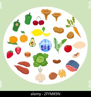 Ensemble de sources naturelles d'origine de vitamine B6. Journal santé nourriture viande, légume, oeuf, noix, poisson, betterave. Produits diététiques biologiques, nutrition naturelle Illustration de Vecteur